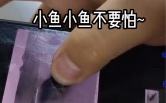 Tap the digital wooden fish—release digital lives!