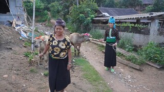 CUỘC THI ĐUA TRÂU F1 CỦA AE NSTB • Món Quà Bà Chanh Thiel, Pa Khing cho Bà & Mẹ