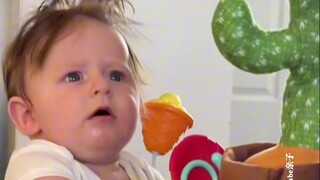 会说话的仙人掌玩具🌵