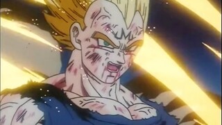 Vegeta: Tôi chỉ nói ngẫu nhiên thôi.