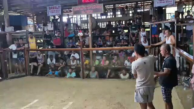 2hits ulotan JJV GF 2nd fyt win "champion 🏆🏆"