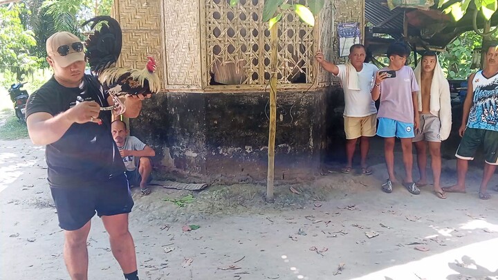 Guba hampang sa mystiso