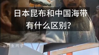 Apa perbedaan antara kombu Jepang dan rumput laut Tiongkok?