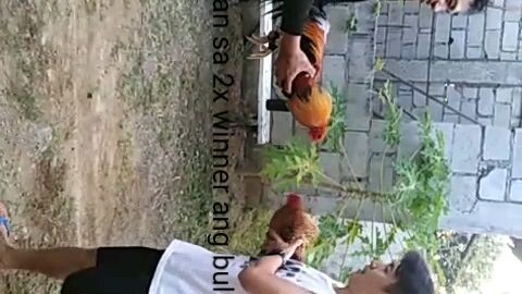 Bitaw sa 2x winner ang bulik ni badong