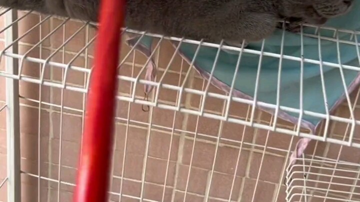 The follow-up you’ve been asking for: The before-and-after comparison is hard to believe it’s the sa