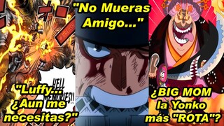 *GRACIAS ODA*… El LEGENDARIO momento de SANJI y ZORO | BIG MOM ¿Despertar? - ONE PIECE 1031 Review