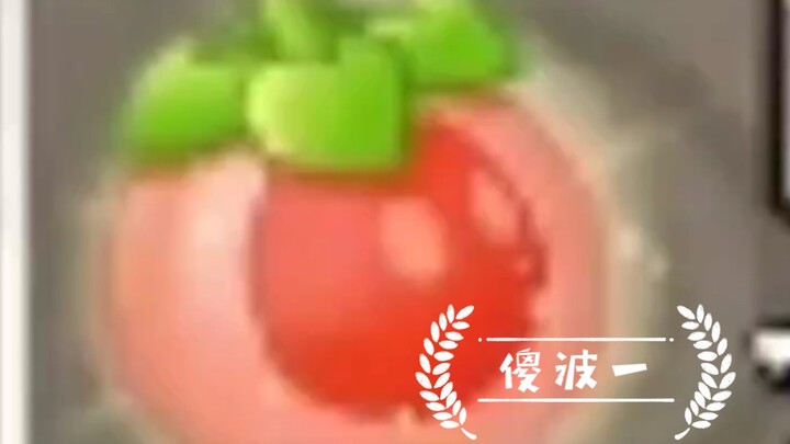 下次一定禁灯笼草