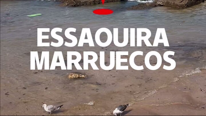 ESSAOUIRA: MARRUECOS ¡CUIDADO DONDE TE ALOJAS!