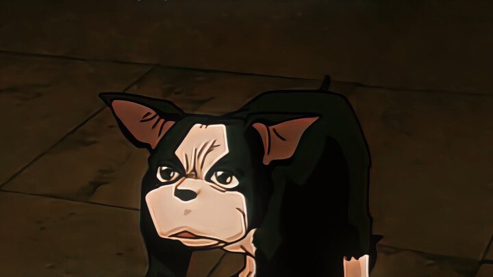 "Can lowly wild dogs really not have a golden spirit?"