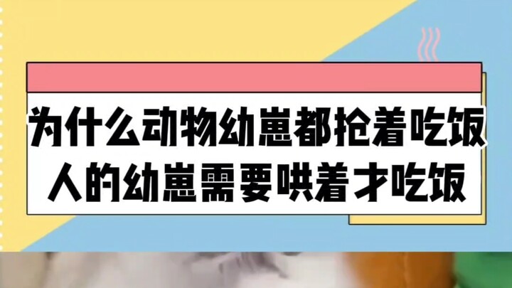 Sự khác biệt giữa đút cơm cho trẻ con và câu cá là gì?