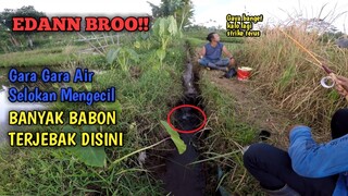 EDANN BROO!! Banyak Babon Terjebak Di Spot Ini || STRIKE TEROOSS!!