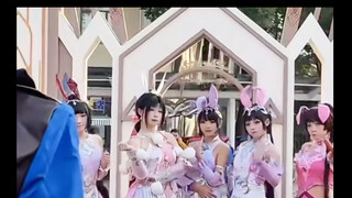 谁才是真正的兔子小舞