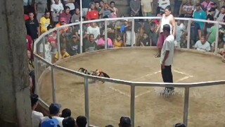 @Zamboanga del Norte p2