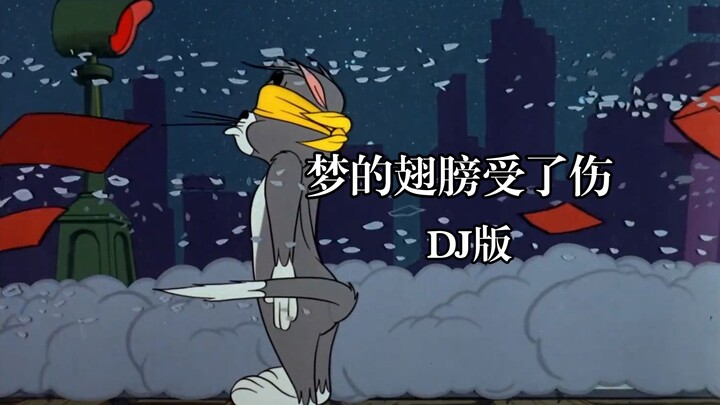 This is the original MV of “The Wings of Dreams Are Wounded” (DJ)