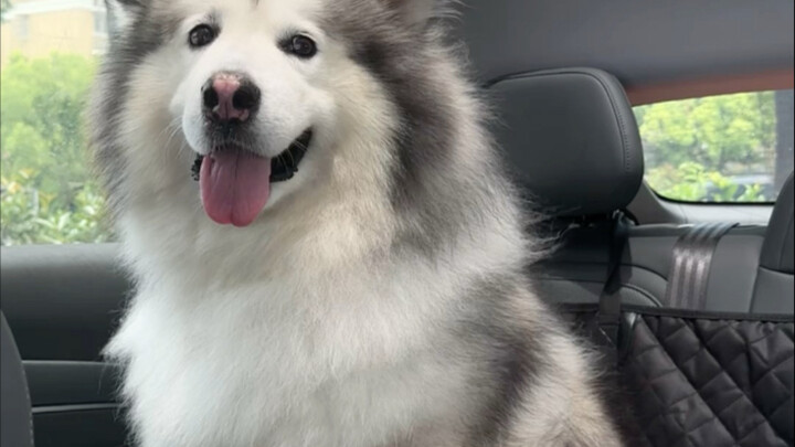 حياة بسيطة وهادئة مع باونغ هاو