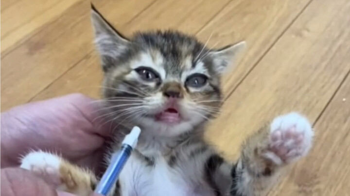 الشخص الذي تبنى سلة المهملات رقم 306 والشخص الذي تبنى الفولاذ المقاوم للصدأ رقم 304