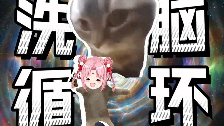 Say goodbye to your brain once a day chipi chipi chapa chapa