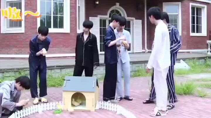 เหยียนฮ่าวเซียง ฉันเพิ่งมารู้ทีหลังสุดว่าแมวของเหยียนฮ่าวเซียงกับแมวของHRมีลูกถึงห้าตัวเลยเหรอ???? แ