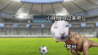 苏超：谁当老大无所谓，绝对不做13妹