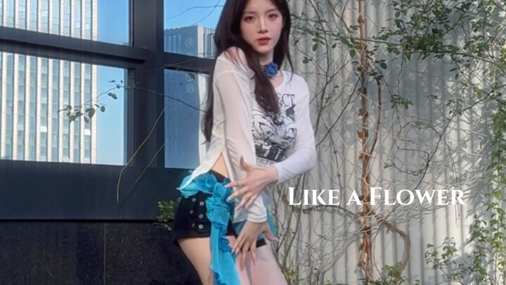 Irene就像歌名一样｜Like a flower