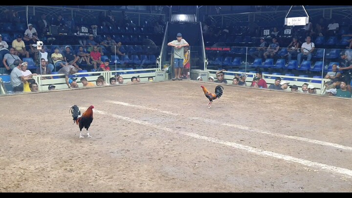 MBC Elims July 18 2025 WWW