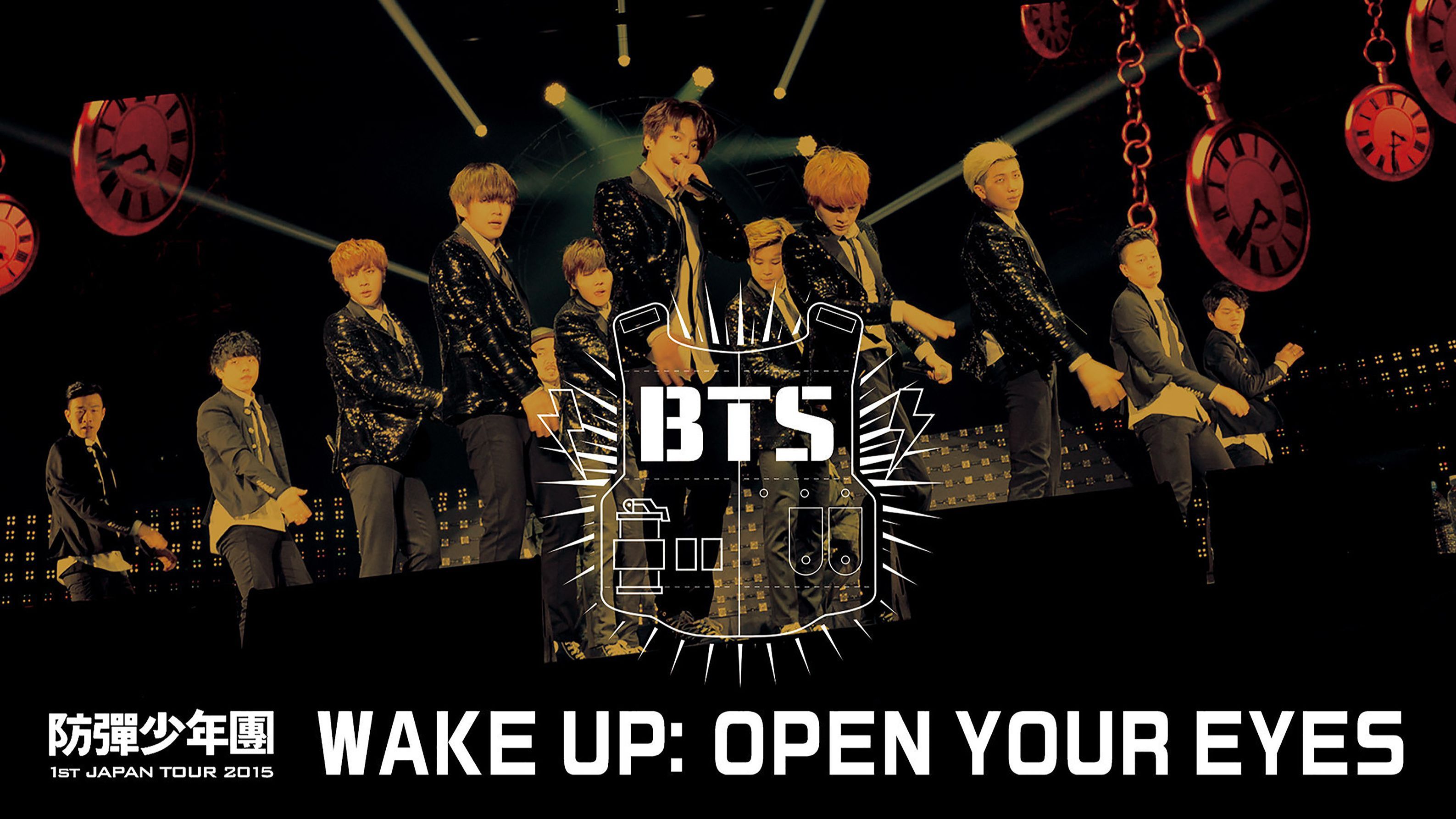 BTS 1st 気持ちよい JAPAN TOUR 2015 WAKE UP うちわ JIN