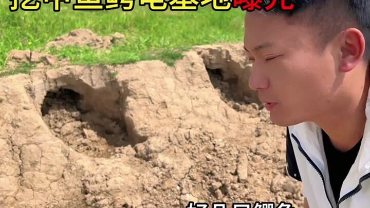 太难了，被他们针对了，挖甲鱼鳄龟基地曝光！