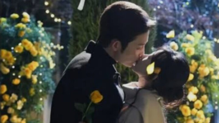 Await The Flowers - Pine For Roses - Roses & Green Pines - Love in the Same Alliance