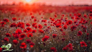 Beautiful Piano Music: Relaxing Music, Romantic Music, Sleep Music, Study Music ★132