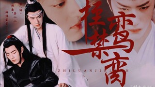 【忘羡】桎鸾禁脔（九）强制｜囚｜病娇｜双洁｜he｜前朝太子•当今王爷
