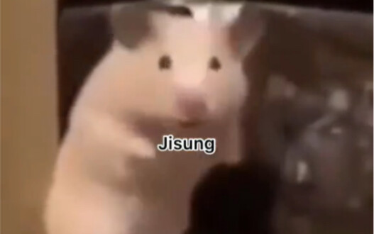 When NCT Turns Into Little Animals...