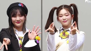 أود أن أقول إنه الأنسب لحركة يدي آي آي!