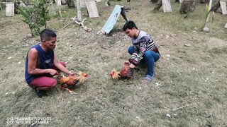 Test fight
