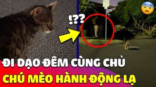 Chú mèo 'NGÁNG CHÂN' không cho chủ đi tiếp, về nhà cô gái mới phát hiện sự thật 'HÃI HÙNG' 😰 Gâu Đần