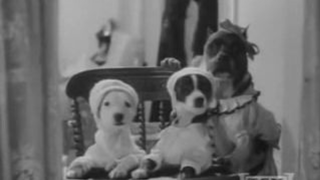 Dogville Comedy - The Two Barks Brothers 1930