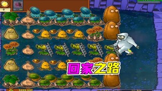 植物大战僵尸：辣椒僵尸神助攻，双坚果压迫感十足