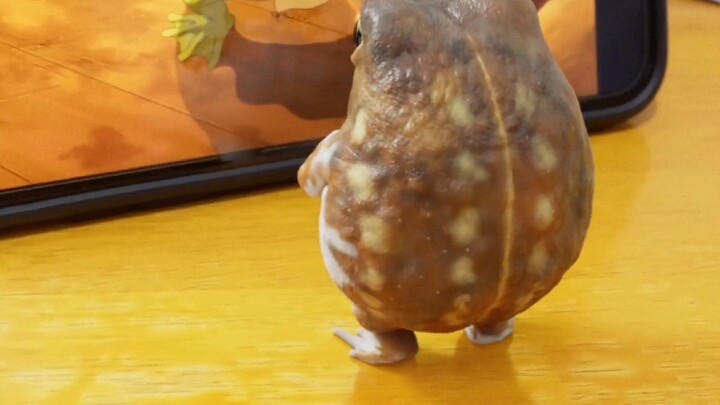 Ếch ơi dễ thương quá, đến cả cái lưỡi cũng có hình trái tim yêu em!