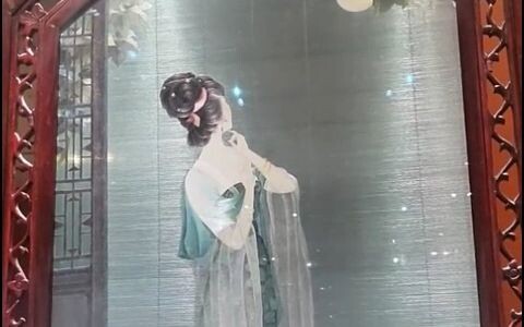 Is this embroidery of Zhao Pan’er or Li Qingzhao? I was blown away by the double-sided, three-patter