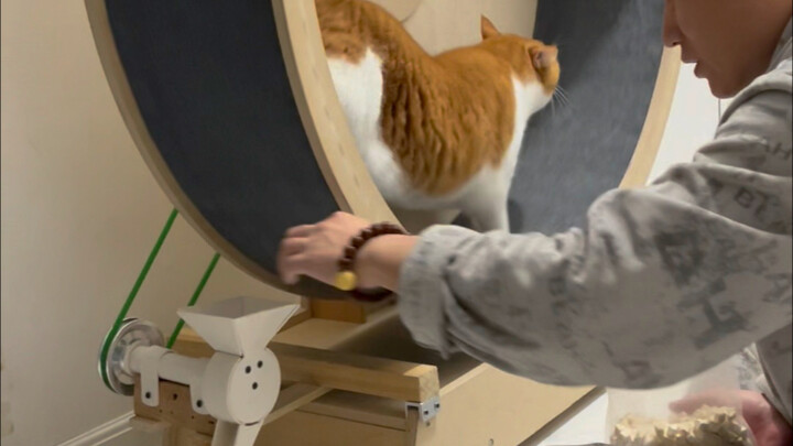 Không có viên đông khô nào là ăn vô ích cả.