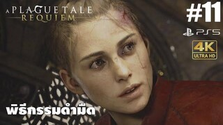 A Plague Tale Requiem11พิธีกรรมดำมืด