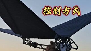 Chuyên gia chế tạo — Phương thức điều khiển máy bay đập cánh kiểu đoạn đơn