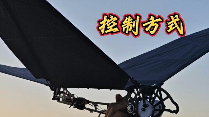 นักสร้างของบ้าพลัง – วิธีควบคุมเครื่องบินปีกกระพือแบบส่วนเดียว