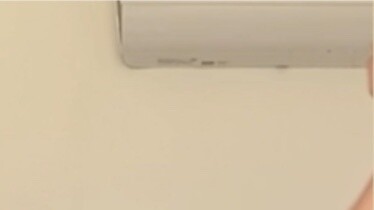 Chúc mừng năm mới! Chúc thi đại học tốt! Một chú thỏ tai cụp siêu đáng yêu đã tăng cân trong dịp Tết