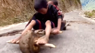 【教授收藏家】最新视频来袭，快来看看吧！