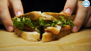 Chó Có Túi Trong Tai + 30 Sự Thật Khác Mà Tôi Phải Kiểm Tra Đến Mấy Lần Mới Tin  #kienthuc