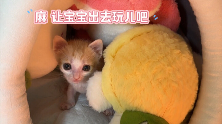 Xiao Bi’s “eating spirit” has awakened!