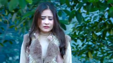 396 Ganteng-Ganteng Serigala