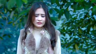 396 Ganteng-Ganteng Serigala