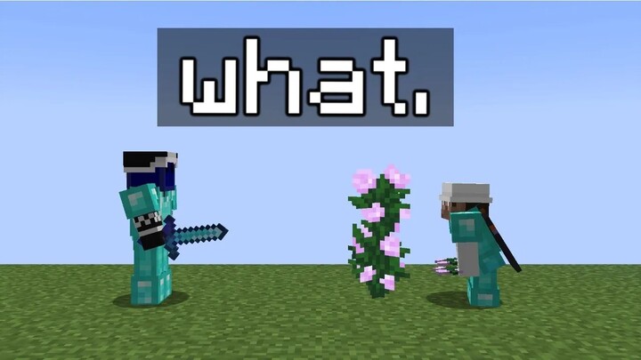 [Flowtives] Can flowers also engage in PVP?