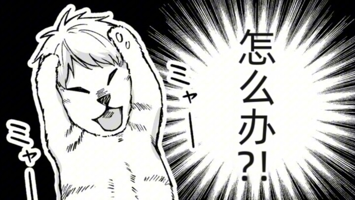 重剑太郎抱头小猫40秒纯享版